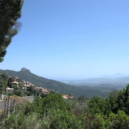Montecolcau Panoramic View Apartment Baunei Luaran gambar